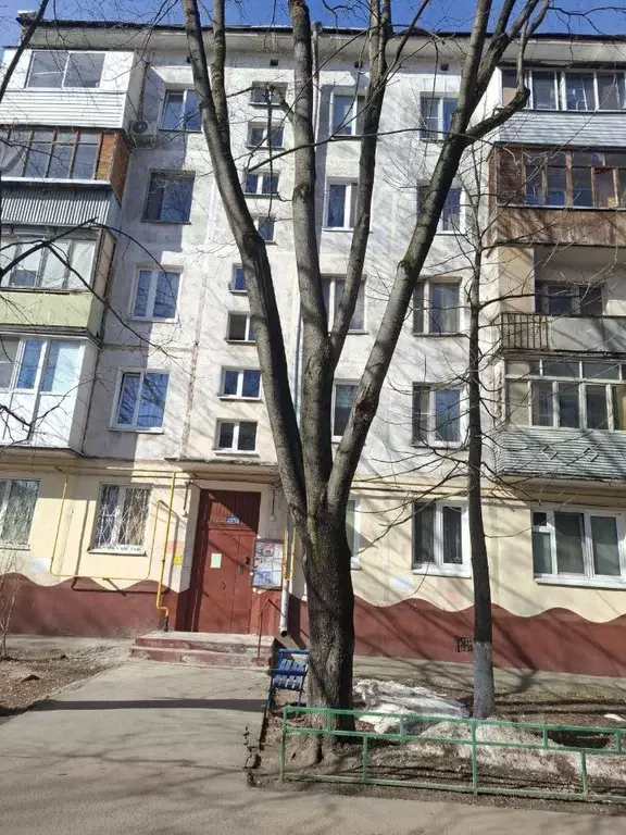 1-к кв. Московская область, Балашиха Железнодорожный мкр, ул. ... - Фото 2