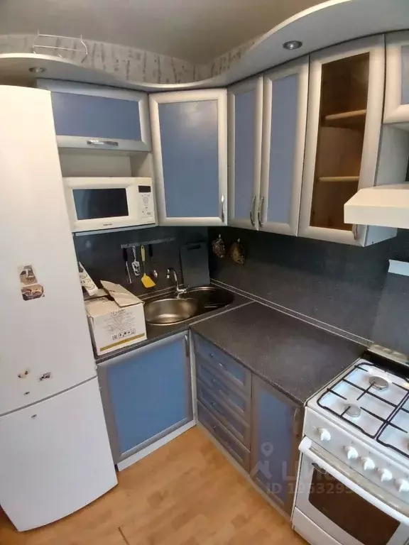 2-к кв. Курганская область, Курган ул. Томина, 82 (44.0 м) - Фото 1