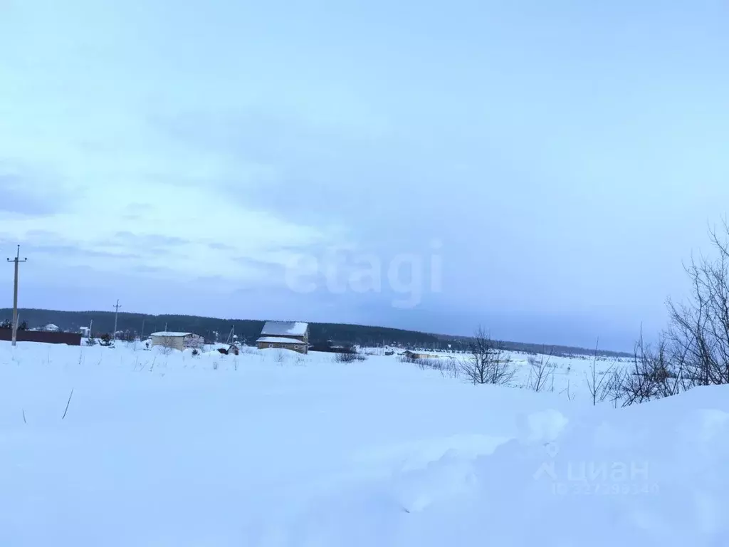 Участок в Мордовия, с. Кочкурово  (20.0 сот.) - Фото 1