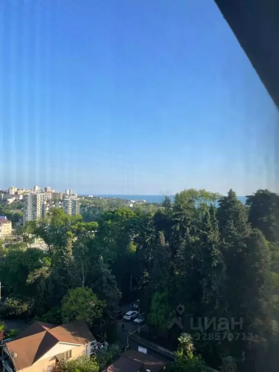 Студия Краснодарский край, Сочи Новый Сочи мкр, ул. Санаторная, 48Б ... - Фото 2