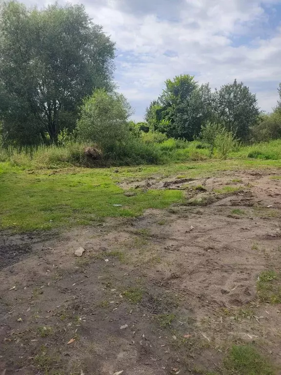 Участок в Калининградская область, Зеленоградский муниципальный округ, ... - Фото 1