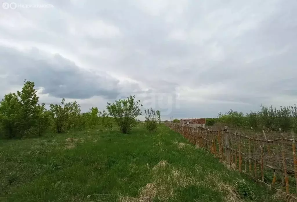 Участок в Тамбовский муниципальный округ, село Красносвободное (21 м) - Фото 2
