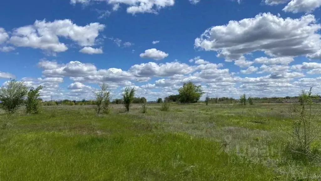 Участок в Саратовская область, Энгельсский район, Новопушкинское ... - Фото 1