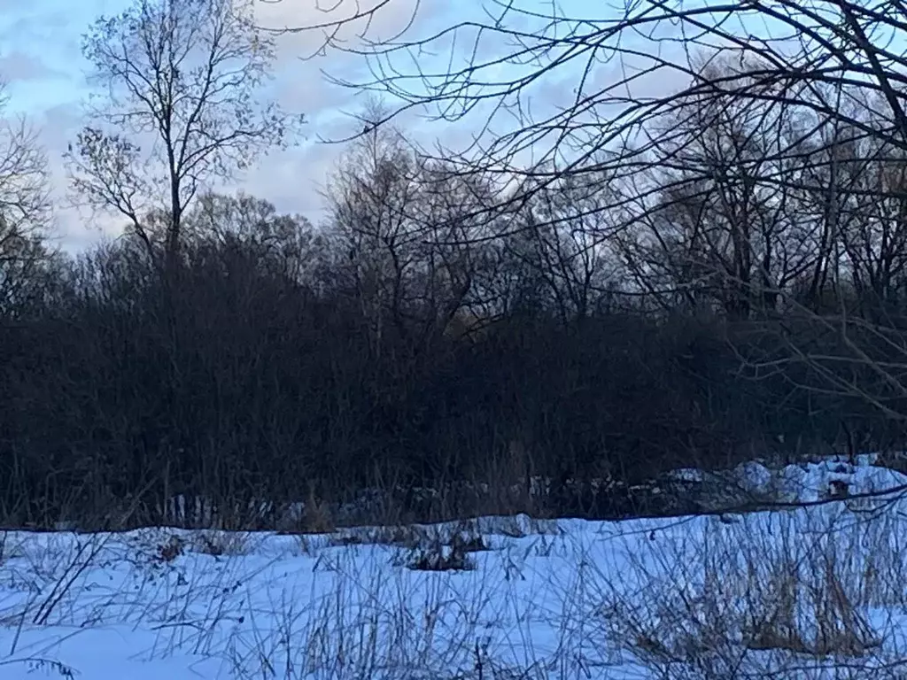 Участок в Московская область, Клин городской округ, д. Трехденево  ... - Фото 1