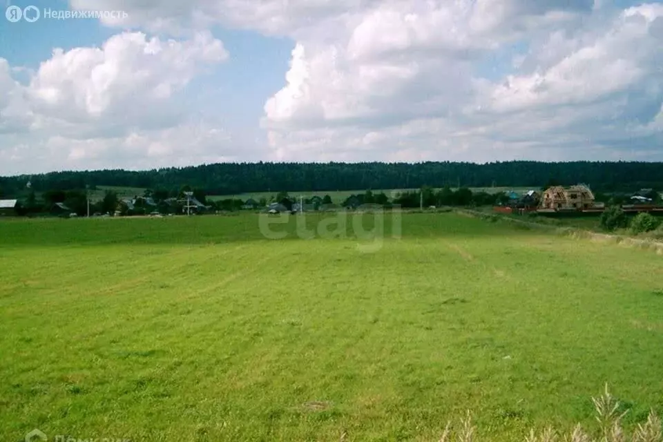 Участок в Смоленская область, Угранский муниципальный округ, деревня ... - Фото 2