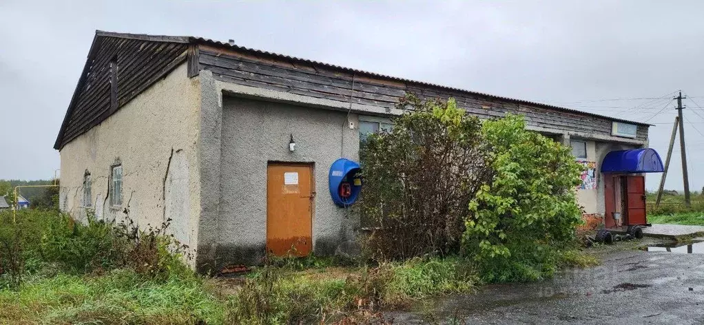 Помещение свободного назначения в Курганская область, Кетовский ... - Фото 0