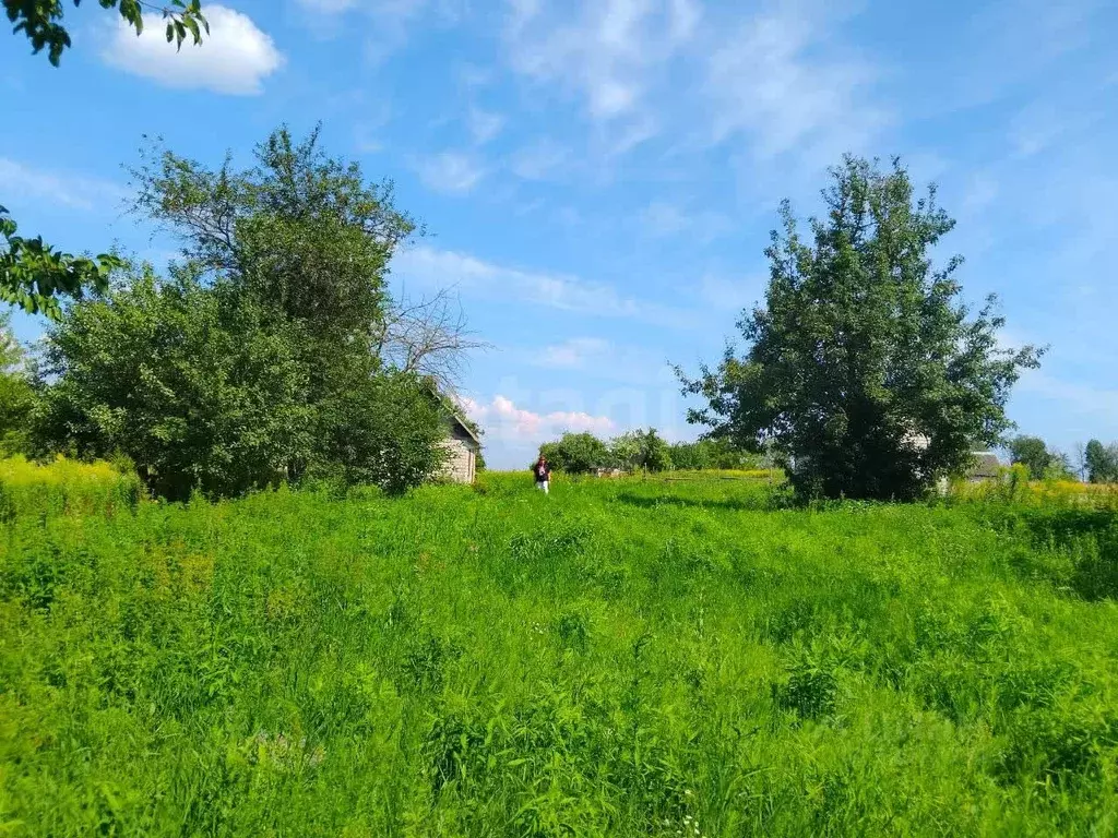 Участок в Брянская область, Брянский район, Мичуринское с/пос, ... - Фото 2