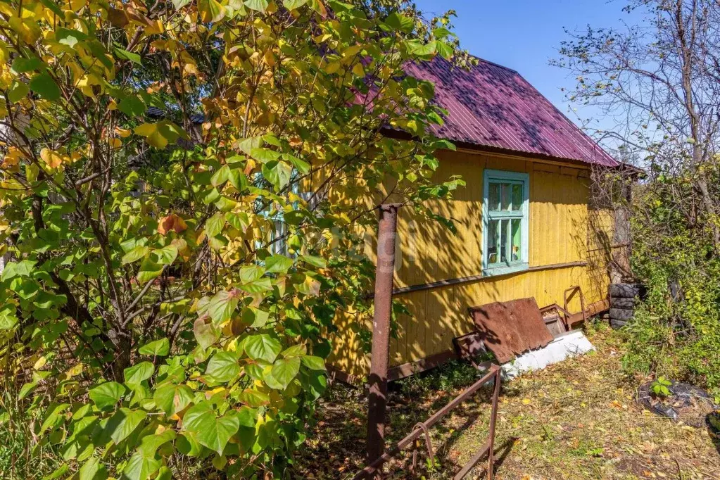 Купить Дачу М