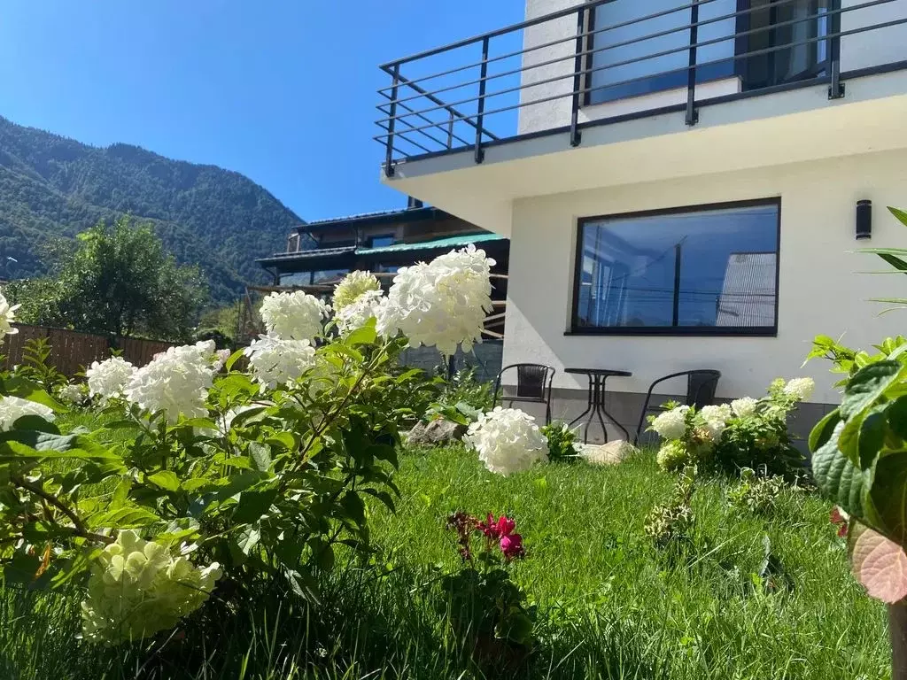 2-к кв. Краснодарский край, Сочи Красная Поляна пгт, пер. Благодарный, ... - Фото 1