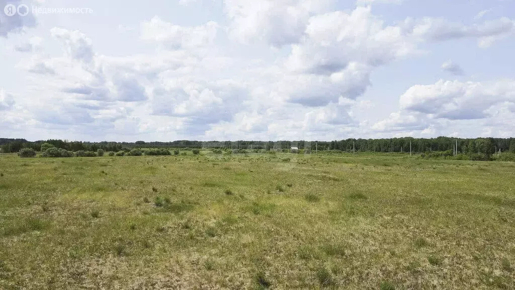 Участок в Усть-Ницинское сельское поселение, деревня Ермолина (12.59 ... - Фото 2