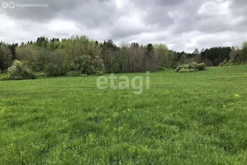 Участок в Пермский муниципальный округ, деревня Полюдово (320 м) - Фото 2