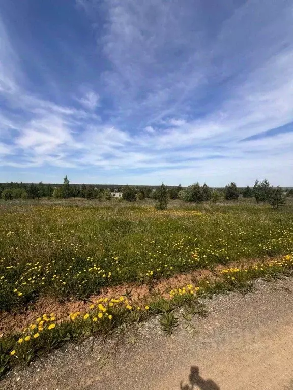 Участок в Свердловская область, Белоярский пгт ул. Просторная, 24 ... - Фото 1