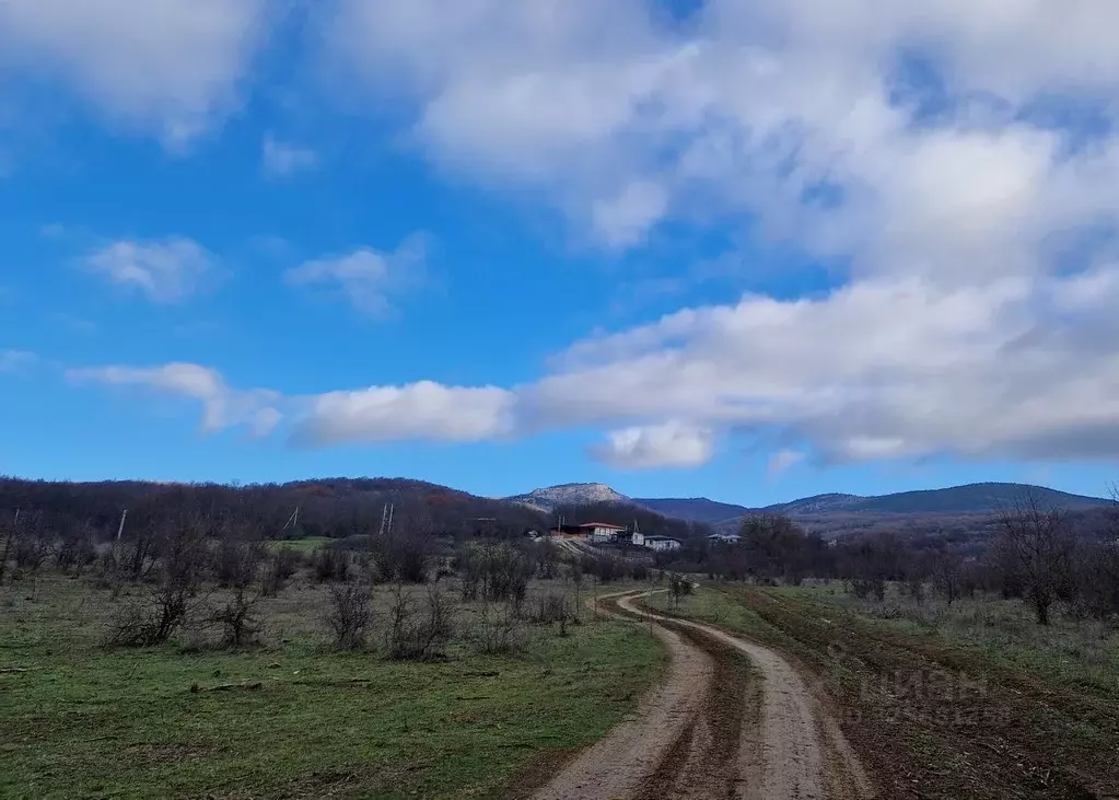 Участок в Севастополь с. Передовое,  (313.0 сот.) - Фото 2