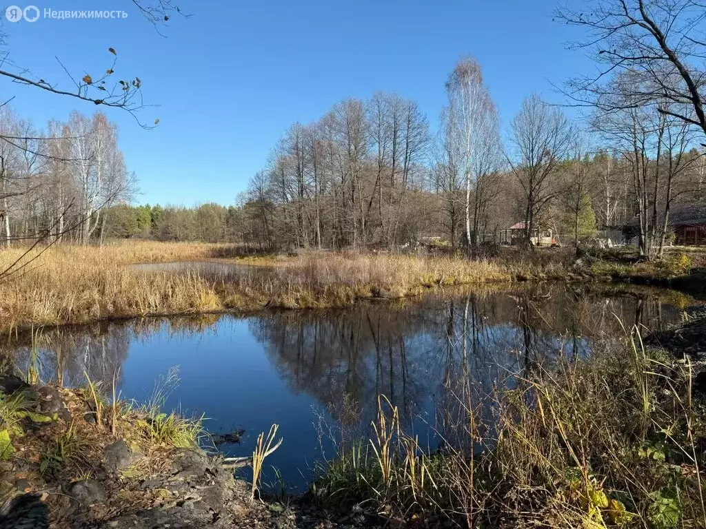Участок в Бессоновский район, посёлок Подлесный, КП Лесное озеро, ... - Фото 2