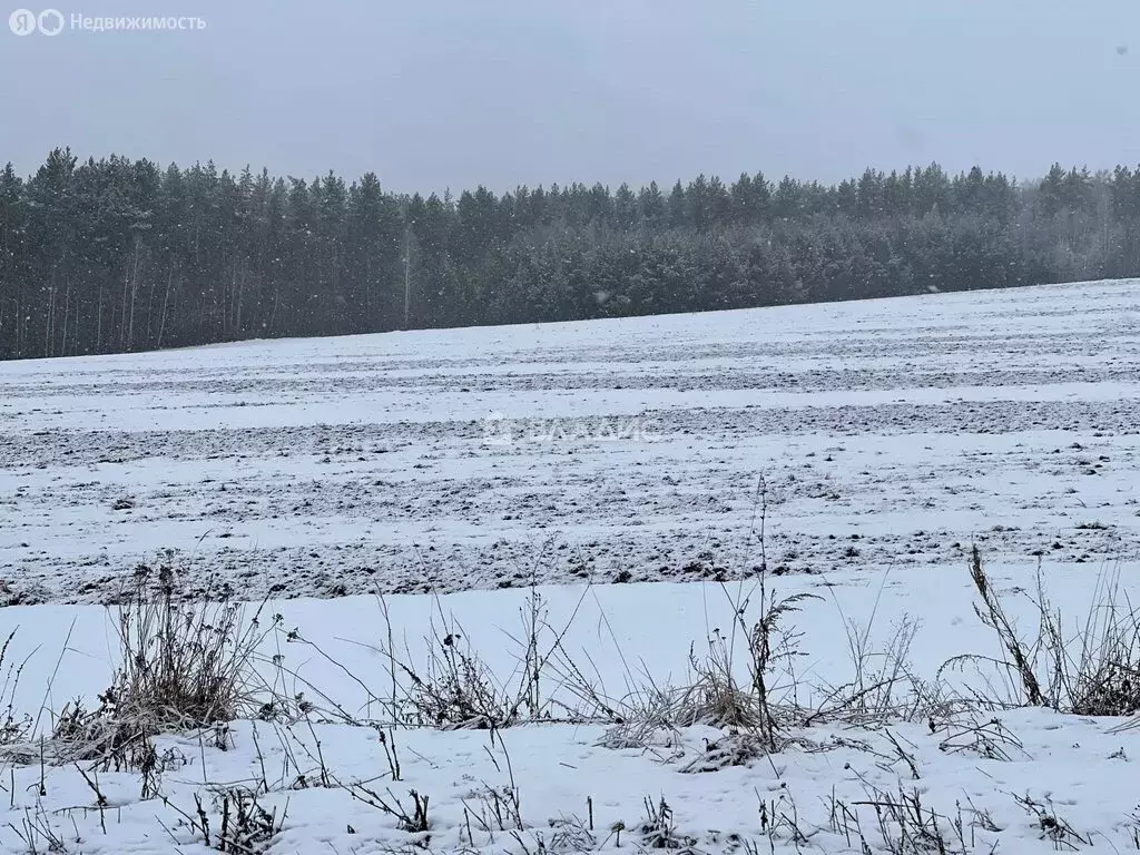 Участок в Нижегородская область, Кстовский муниципальный округ, село ... - Фото 1