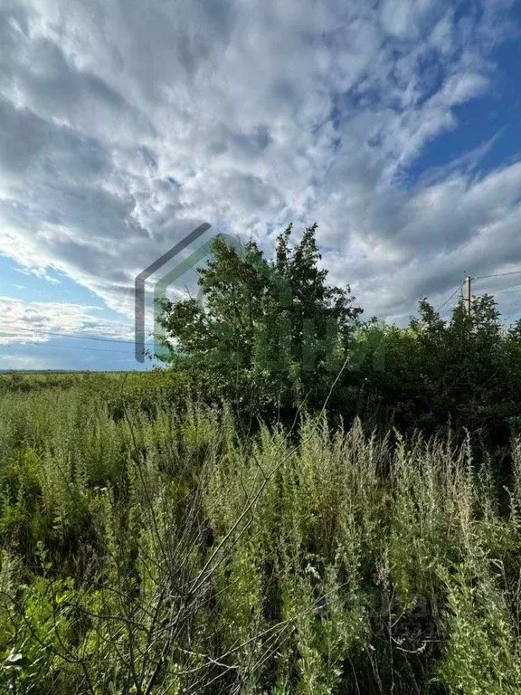 Участок в Оренбургская область, Оренбургский район, Ленинский ... - Фото 1