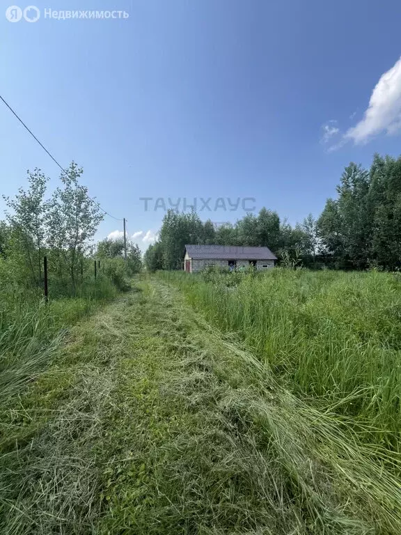 Участок в Музяковский сельсовет (10 м) - Фото 1