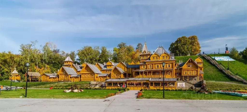 Участок в Брянская область, Выгоничское городское поселение, с. ... - Фото 0