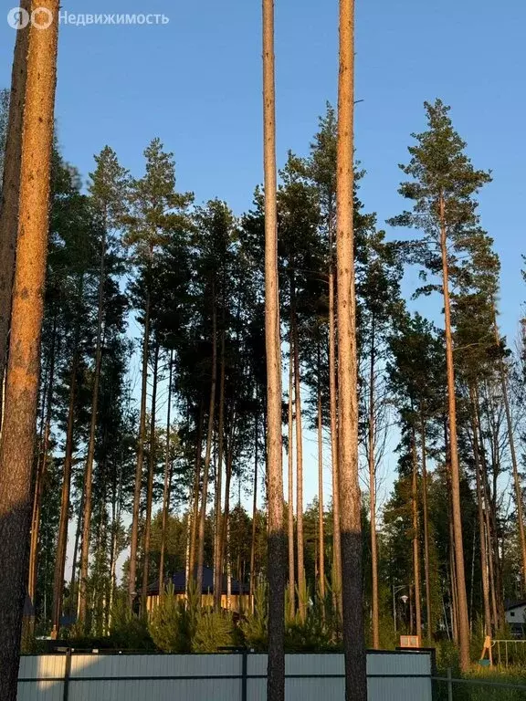 Дом в Свердловская область, Сысерть (78 м) - Фото 1