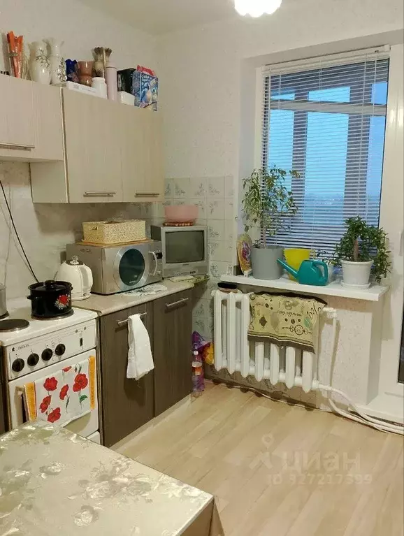 1-к кв. Чувашия, Чебоксары проезд Соляное, 3 (37.0 м) - Фото 2