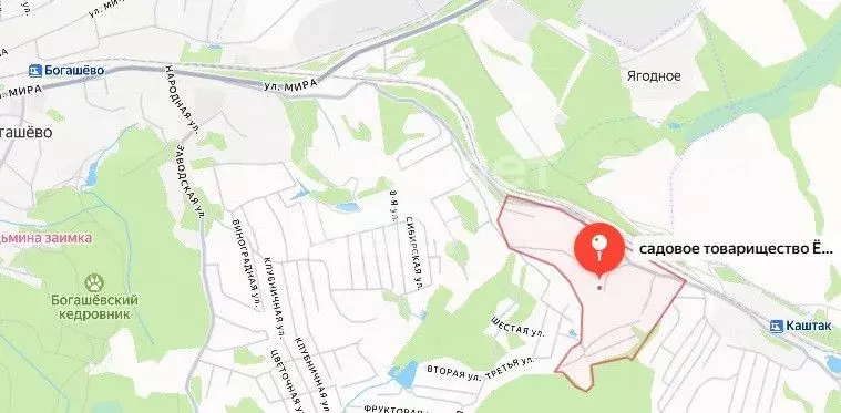 Дом в Томская область, Томский район, Богашевское с/пос, Ягодка ... - Фото 2