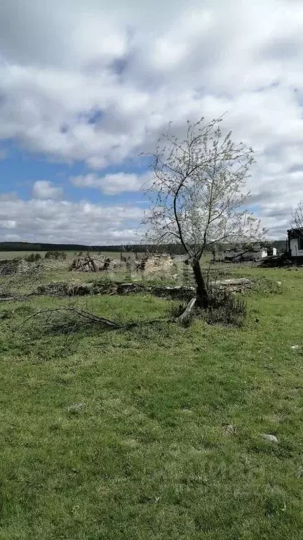 Участок в Свердловская область, Артинский городской округ, д. ... - Фото 0