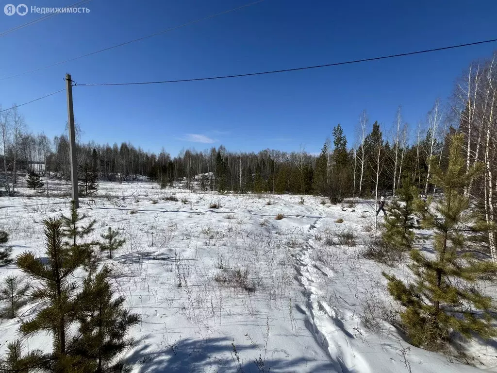 Участок в Челябинская область, Аргаяшский муниципальный округ, СПК ... - Фото 1
