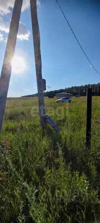 Участок в Башкортостан, Чишминский район, с. Енгалышево ул. Тихая, 7 ... - Фото 1