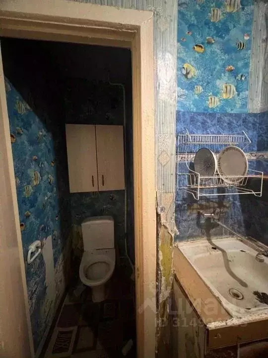1-к кв. Тамбовская область, Тамбов ул. Рылеева, 62к2 (18.0 м) - Фото 1