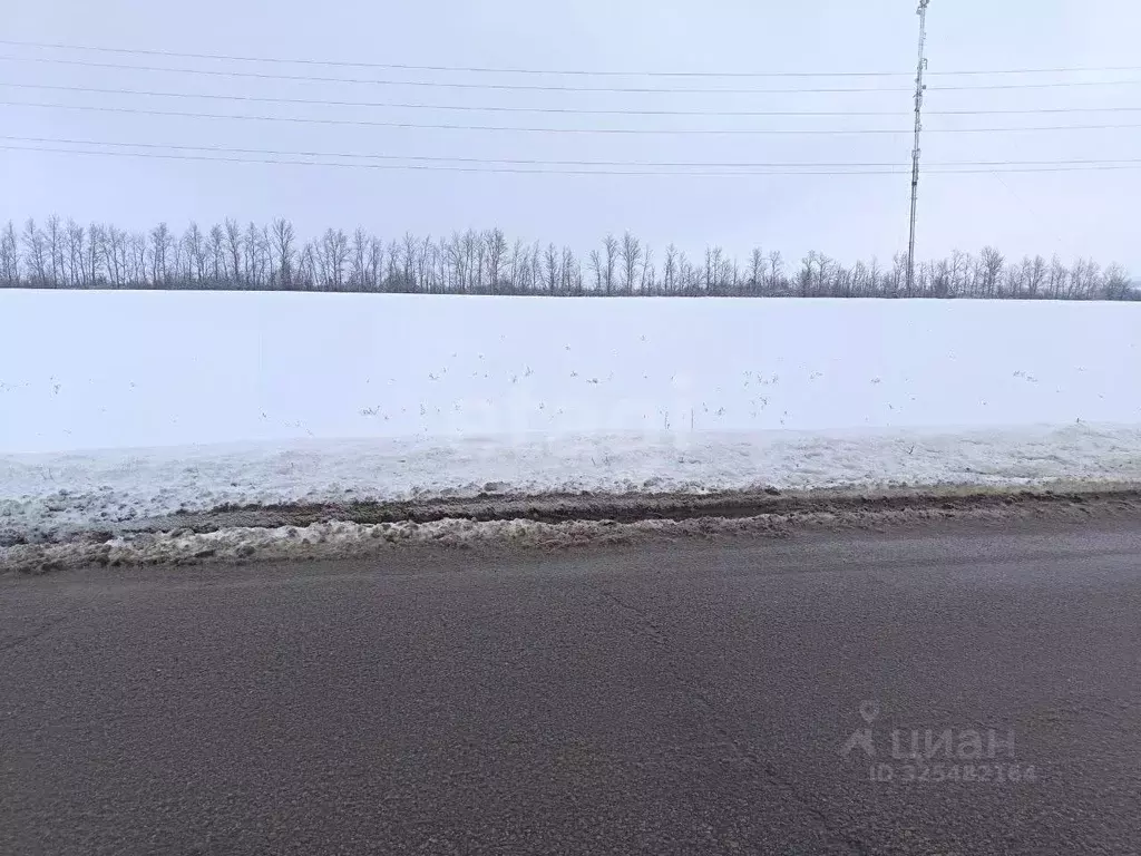 Участок в Белгородская область, Красногвардейский район, Ливенское ... - Фото 1