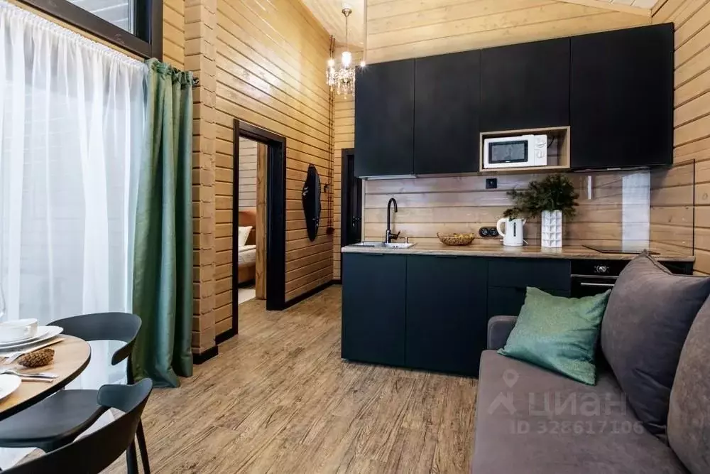 Дом в Алтай, Турочакский район, с. Артыбаш пер. Еловый, 11А (40 м) - Фото 2