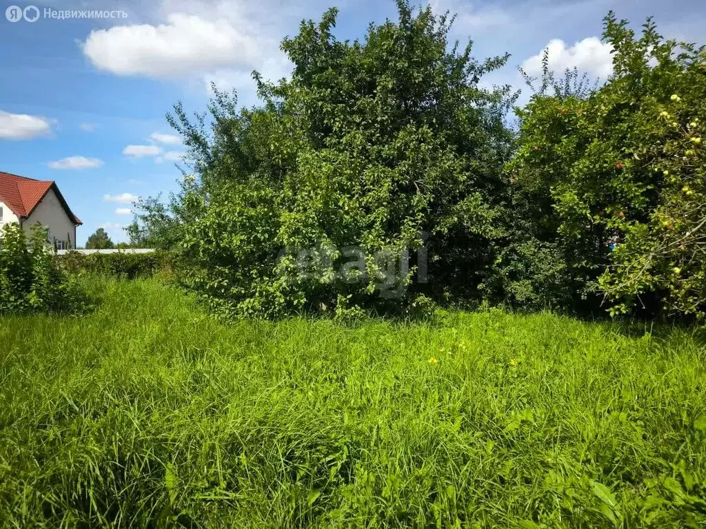 Участок в Калининград, СНТ Колосок, Благодатная улица (4.2 м) - Фото 1
