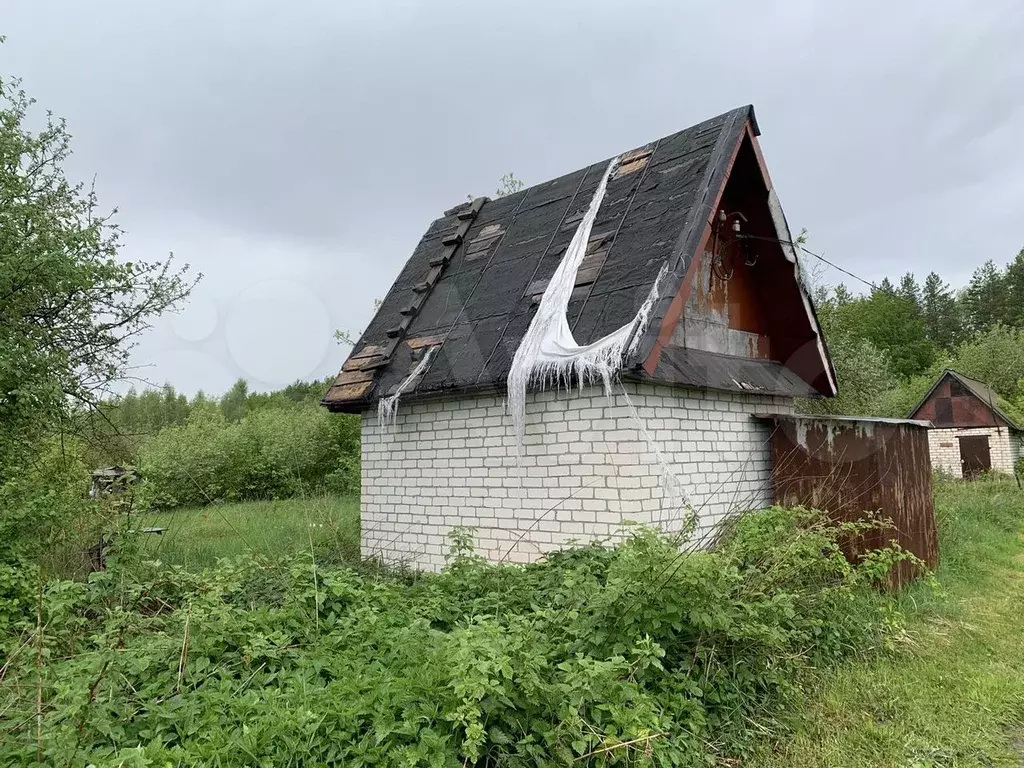 Участок 6 сот. (СНТ, ДНП) - Фото 0