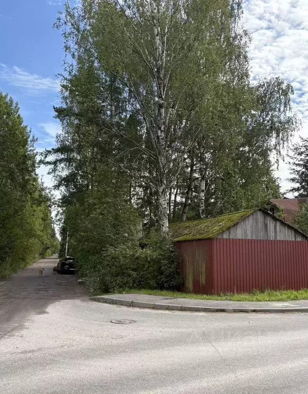 Дом в Ленинградская область, Всеволожск Новоладожская ул., 82 (227 м) - Фото 2