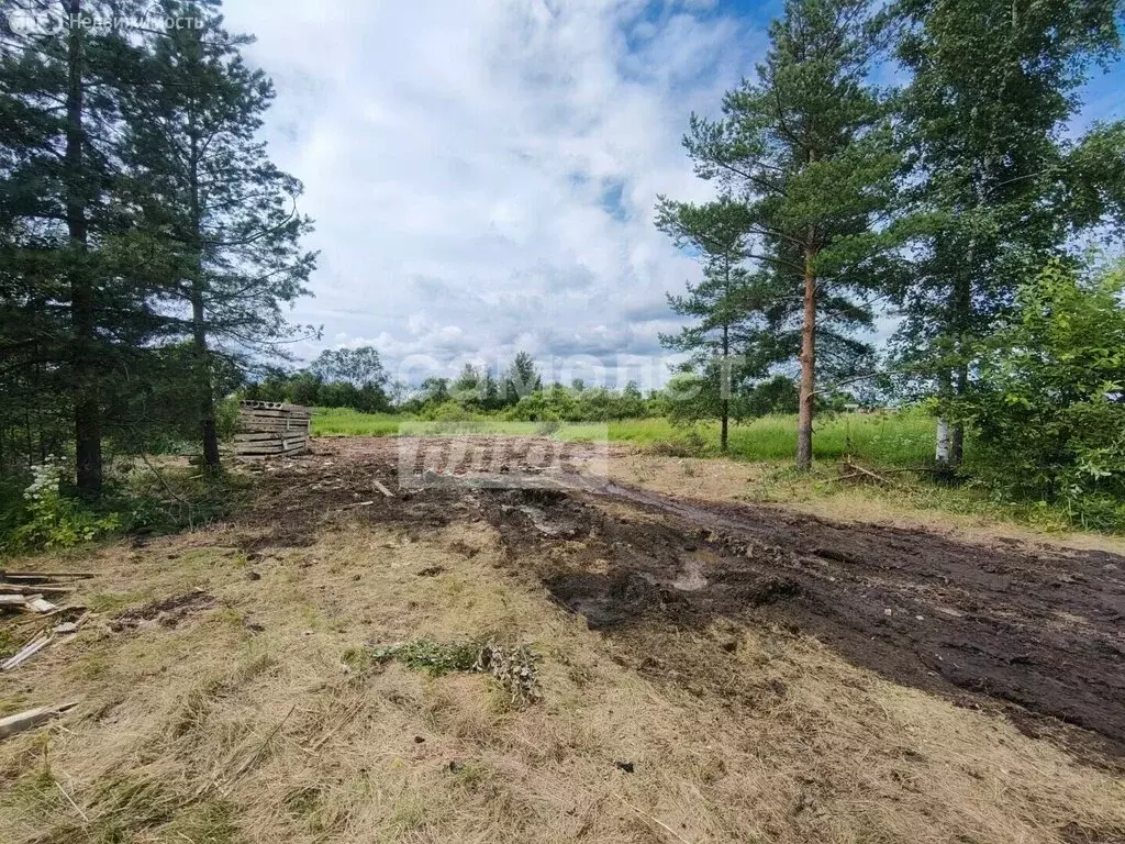 Участок в Новгородская область, Чудовский муниципальный округ, ... - Фото 2