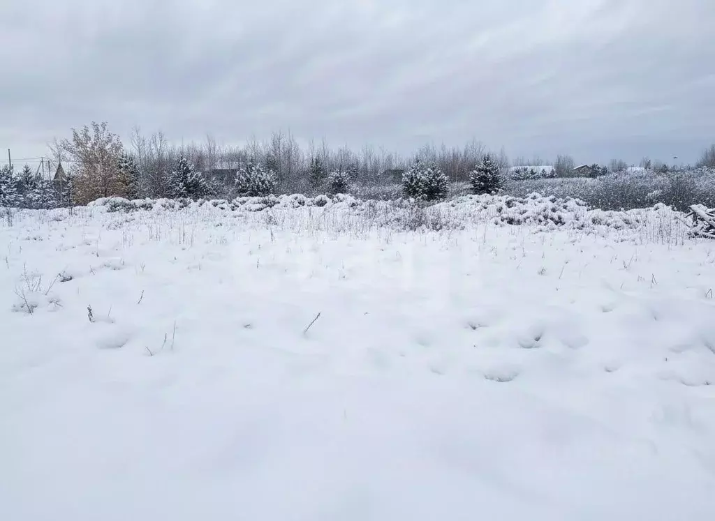 Участок в Томская область, Северск городской округ, пос. Самусь ул. ... - Фото 1