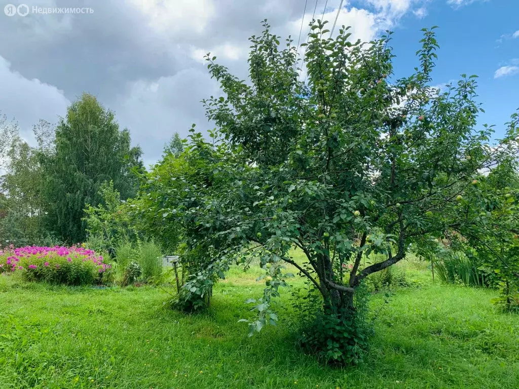 Участок в Прионежский район, посёлок Деревянка (7.5 м) - Фото 0