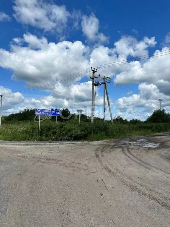 Участок в Тюменская область, Тюмень Большое Царево-1 СНТ,  (10.0 сот.) - Фото 2