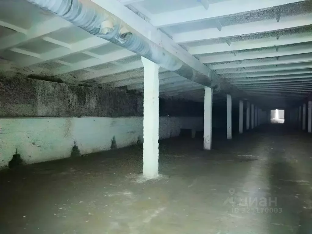 Склад в Московская область, Коломна городской округ, д. Сельниково 50 ... - Фото 2