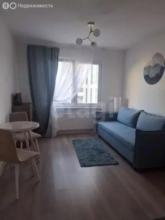 Квартира-студия: Санкт-Петербург, Пахомовская улица, 14к2 (21 м) - Фото 2