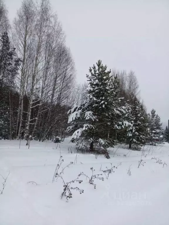 Участок в Пермский край, Карагайский муниципальный округ, с. Обвинск ... - Фото 1