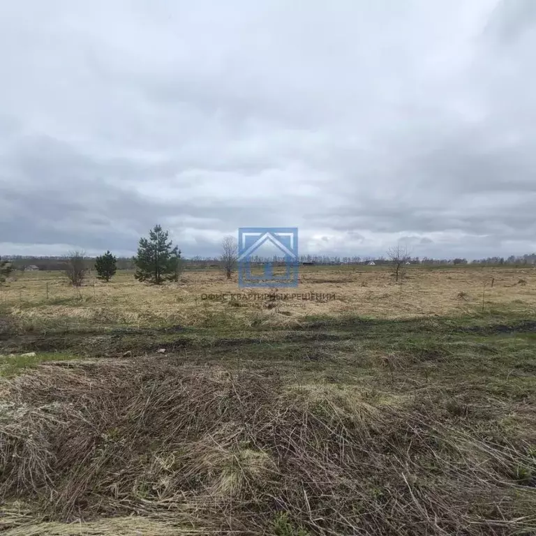 Участок в Пензенская область, с. Бессоновка ул. Кудряшова, 315 (10.0 ... - Фото 2