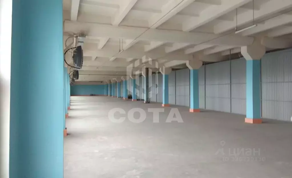 Склад в Воронежская область, Воронеж ул. Дружинников, 5А (206 м) - Фото 1