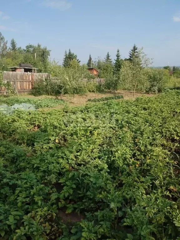 Участок в Хакасия, Алтайский район, с. Подсинее Садовая ул. (6.4 сот.) - Фото 0