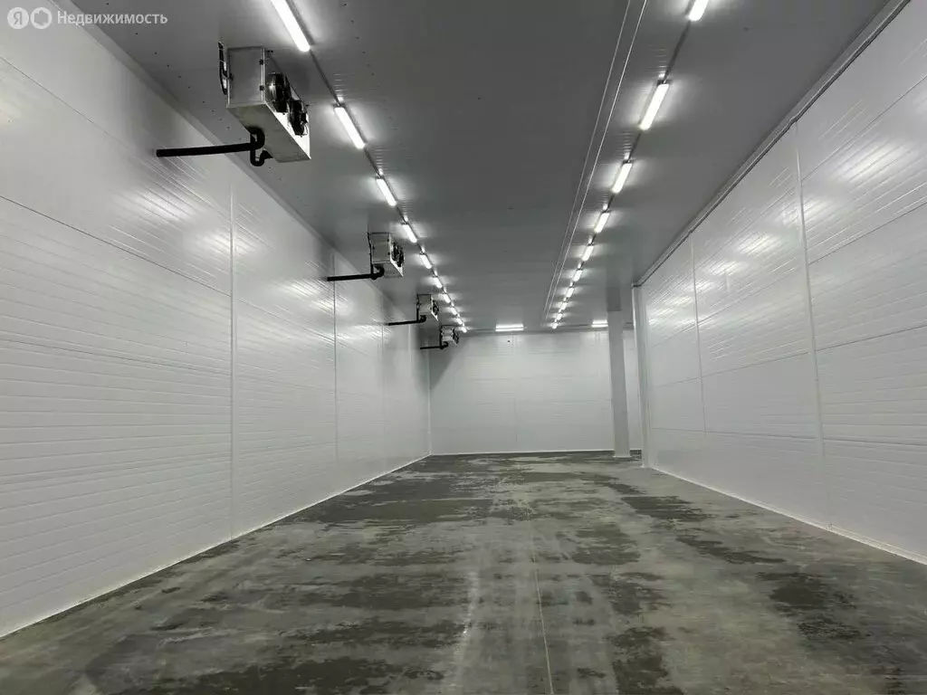 Склад (752 м) - Фото 1