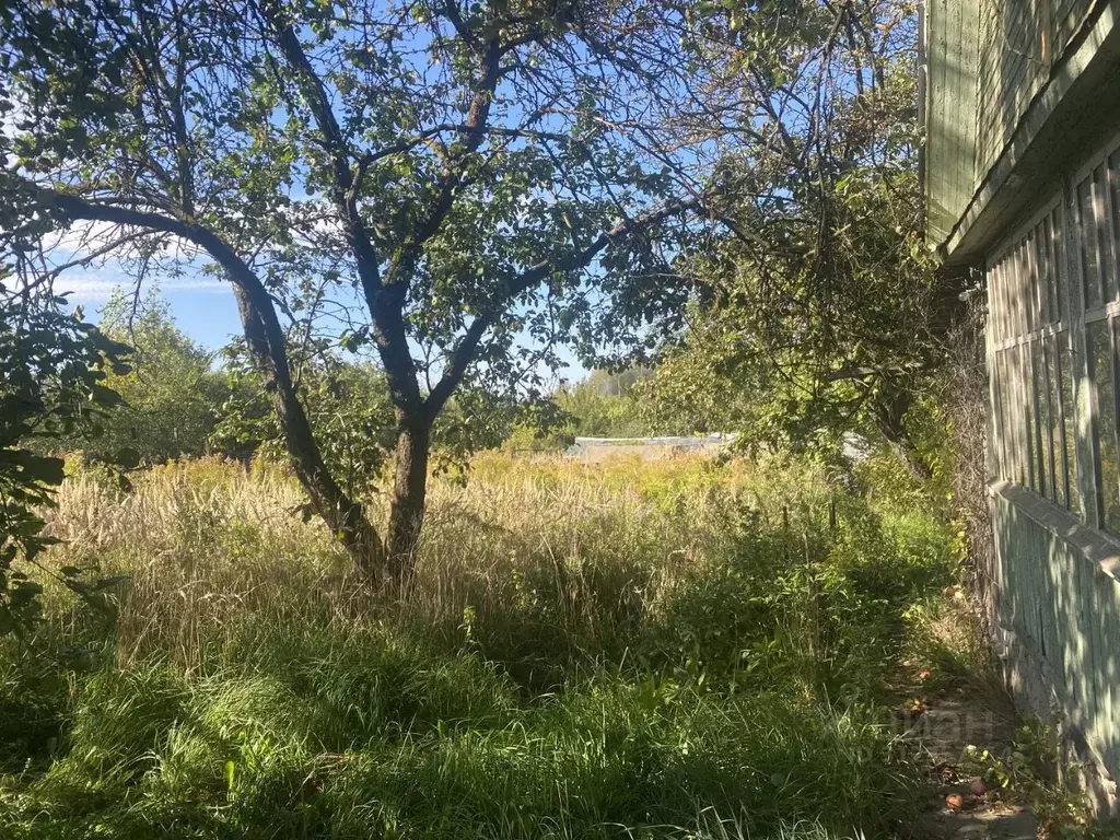 Дом в Нижегородская область, Богородский муниципальный округ, Окское ... - Фото 0