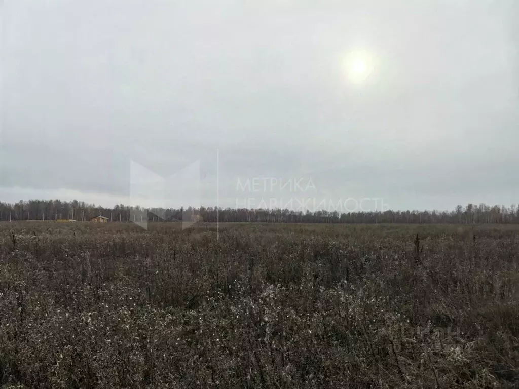 Участок в Тюменская область, Тюменский муниципальный округ, с. ... - Фото 1