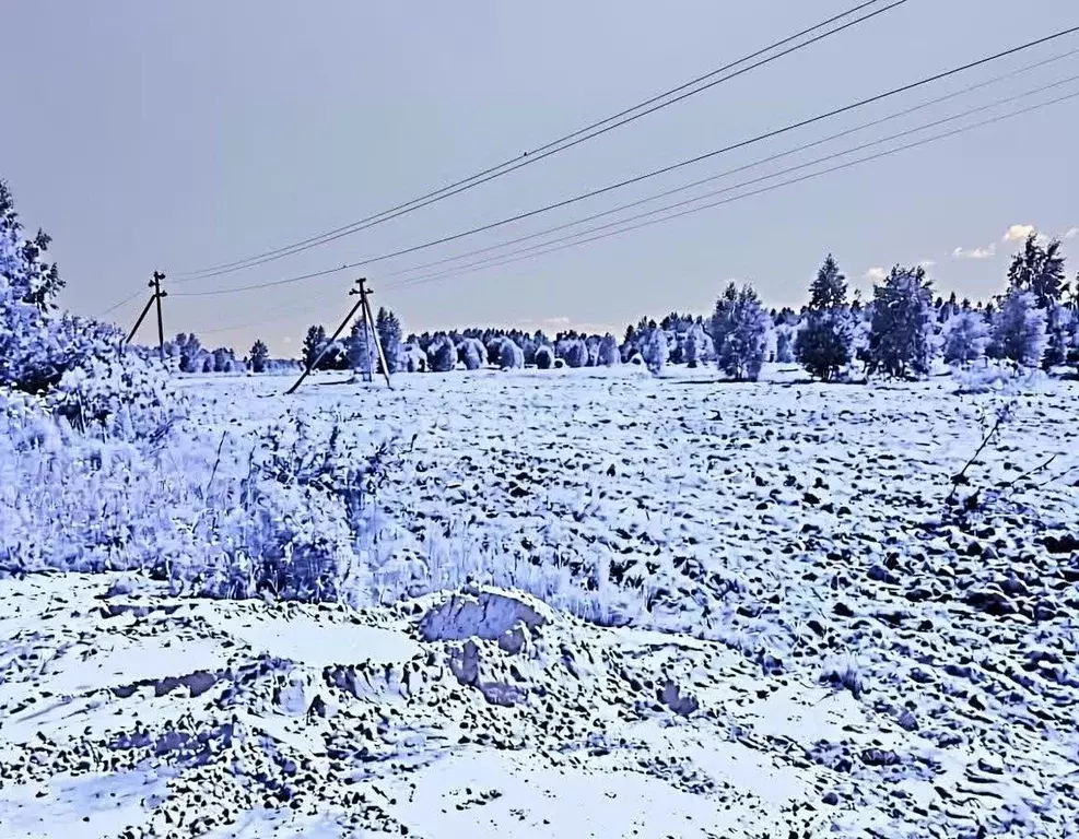 Участок в Владимирская область, Ковровский муниципальный округ, ... - Фото 2