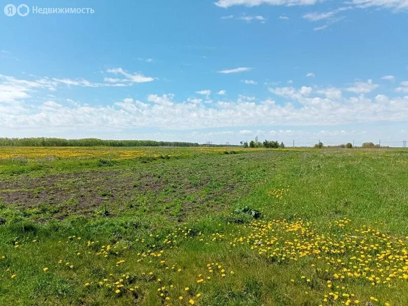 Участок в посёлок Совхозный, Первомайская улица, 16 (26 м) - Фото 0