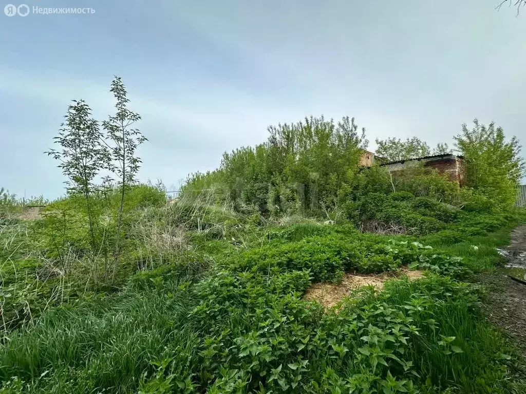 Участок в Чебаркульский округ, деревня Боровое, улица Гагарина (5 м) - Фото 0